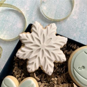 Snowflake Cookie Cutter and Fondant Stamp Embosser, Frozen Theme, Christmas Embosser, Snow Flake