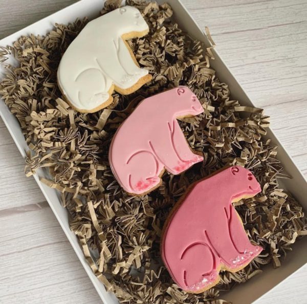 Polar Bear Cookie Cutter and Fondant Stamp, Bear, Christmas, Winter