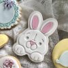 IMG_8290 Bunny Rabbit Cookie Cutter and Fondant Stamp Embosser, Easter, Pet, Farm