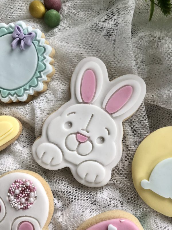 IMG_8290 Bunny Rabbit Cookie Cutter and Fondant Stamp Embosser, Easter, Pet, Farm