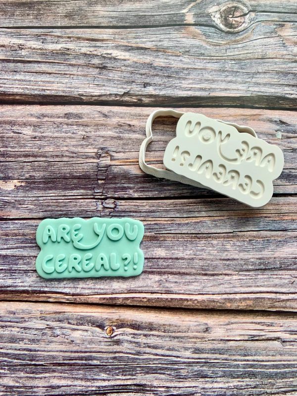 Are You Cereal Cookie Cutter and Fondant Stamp Embosser, Bluey Theme, Kids TV