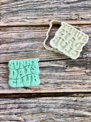 Sunny Days Club Cookie Cutter and Fondant Stamp Embosser, Summer, New Baby, Son, Sun