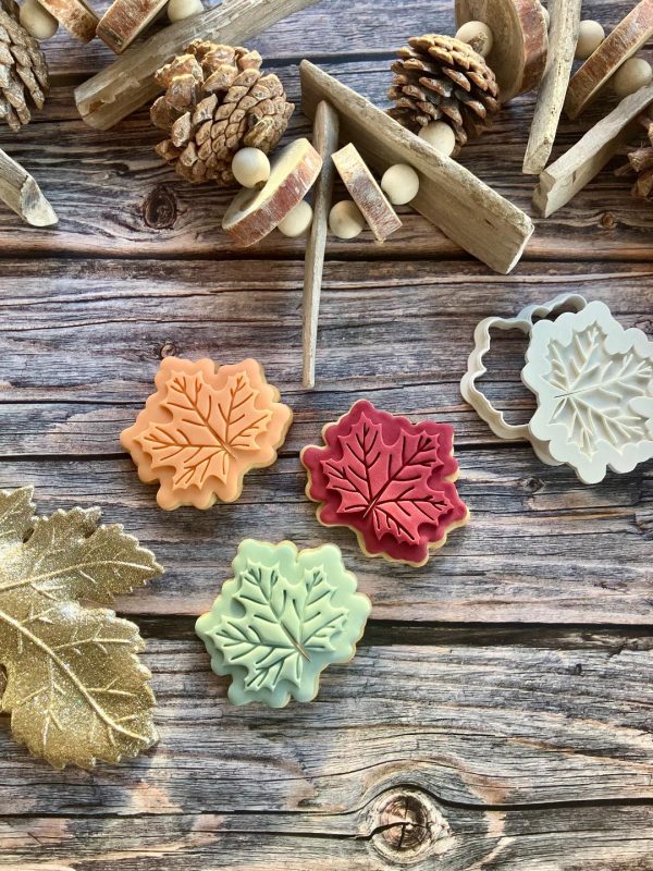 Leaf Cookie Cutter and Fondant Stamp Embosser, Autumn, Winter, Nature, Fall