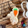 bunny carrot Rabbit with Carrot Balloon Cookie Cutter and Fondant Stamp Embosser, Easter, Bunny