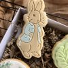 IMG_8544 Rabbit Cookie Cutter & Fondant Stamp – Peter Rabbit