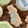 IMG_8568 Rabbit cookie cutter and fondant stamp set featuring Peter Rabbit design 3D-printed from biodegradable food-safe PLA